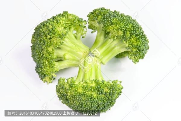離體鮮綠花椰菜