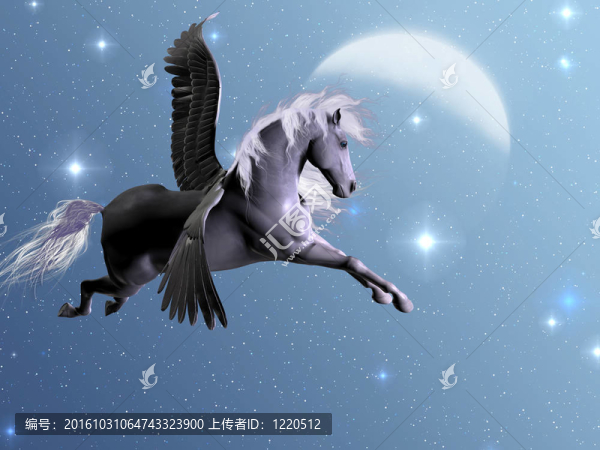 星光飛馬