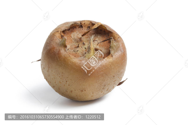 整個(gè)單新鮮成熟的枸杞