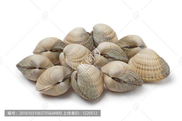 鮮蚶