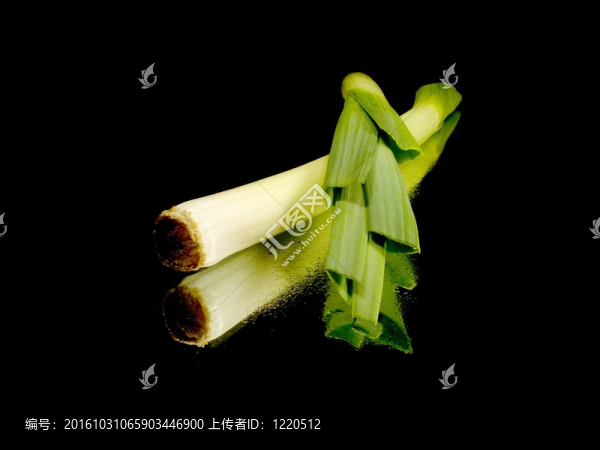 韭菜蔥