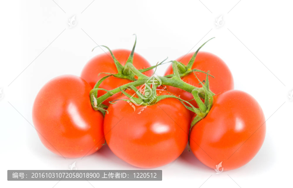 西紅柿