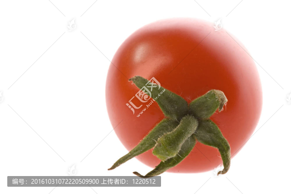 圣女果