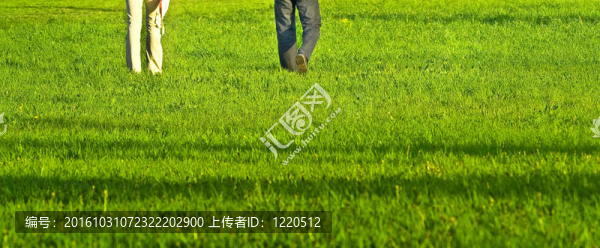 草坪