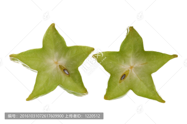 Carambola,Macro切片