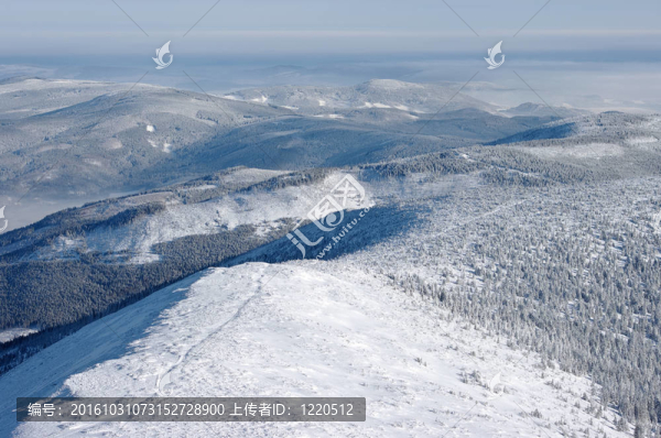在冬季的丘陵全景