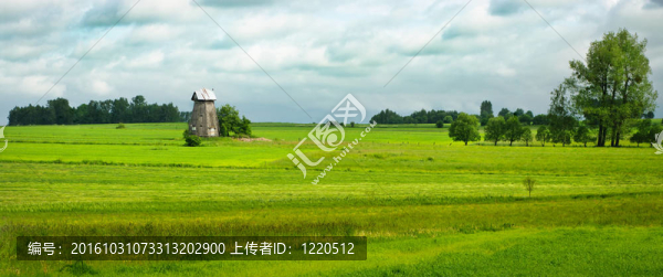 舊風(fēng)車的春天全景