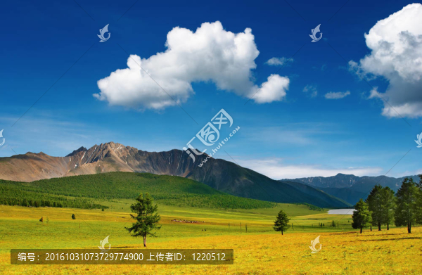 山地景觀