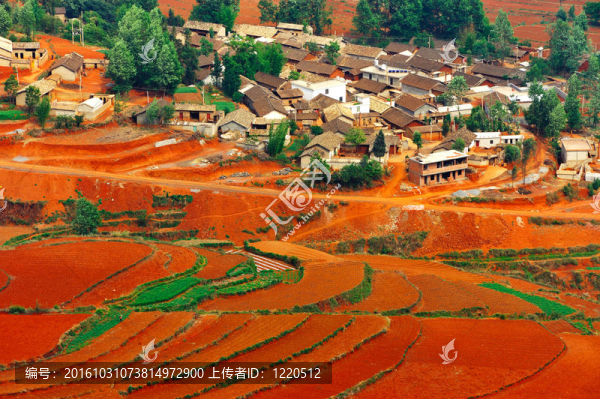 紅場(chǎng)村