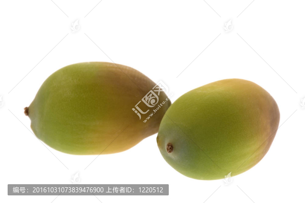 蓮子分離