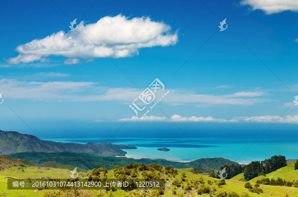 沿海景觀；新西蘭