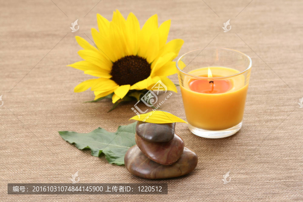 向日葵SPA