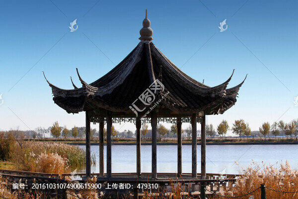 園林,園藝,公園,涼亭