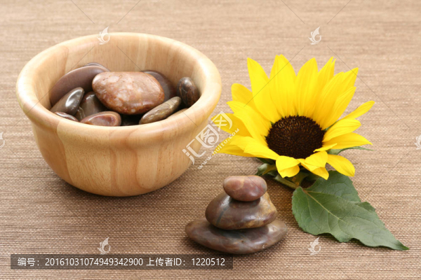 向日葵SPA