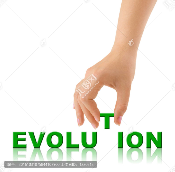 手與字進化