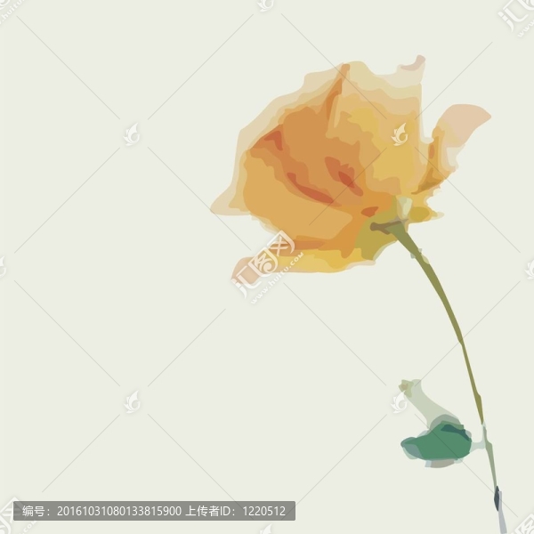 美麗的花