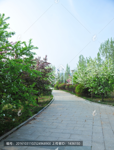 公園,園林
