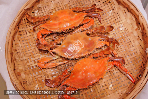 梭子蟹素材,高檔海鮮,海產(chǎn)品