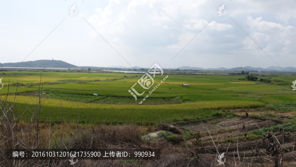 秋色,田園風(fēng)光