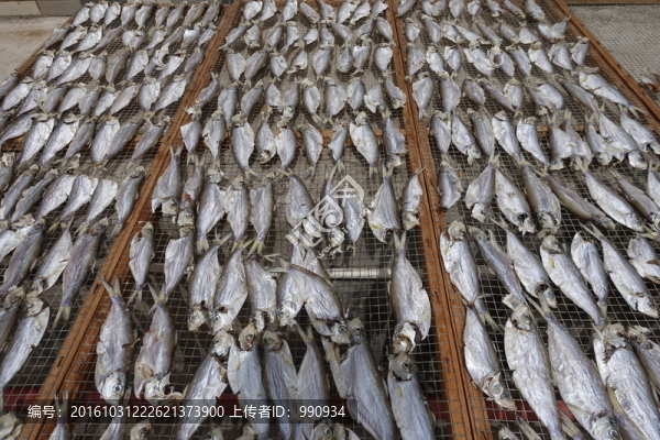 曬魚干