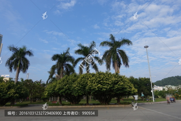 城市環(huán)境