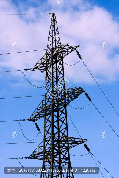 電力線支持
