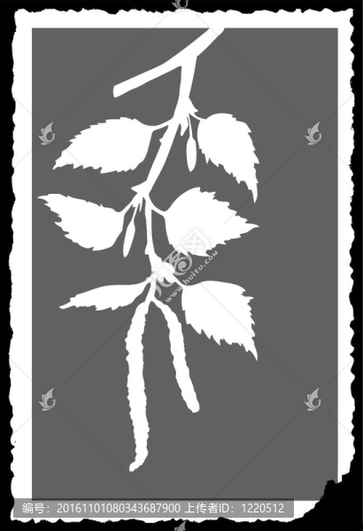 繪制白樺樹枝撕成紙