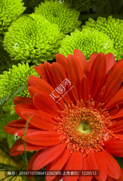 花