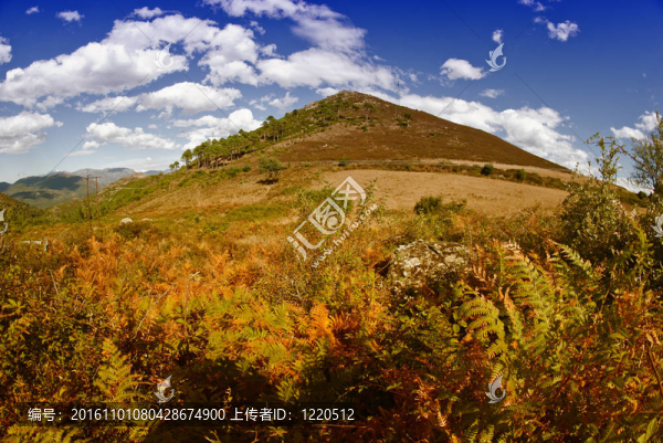 山脈和峽谷的科西嘉島