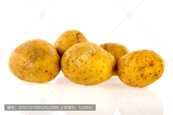 土豆