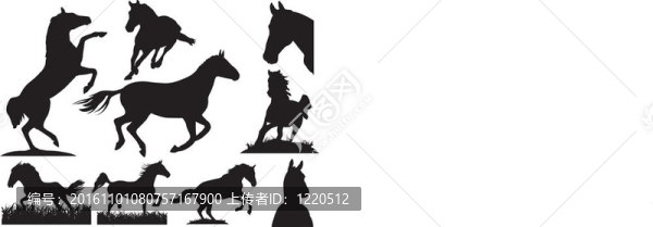 馬的輪廓收藏