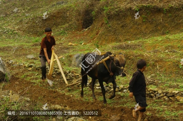 工作家庭（河江）