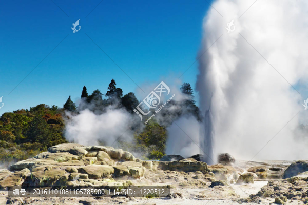 Pohutu,Geyser；新西蘭