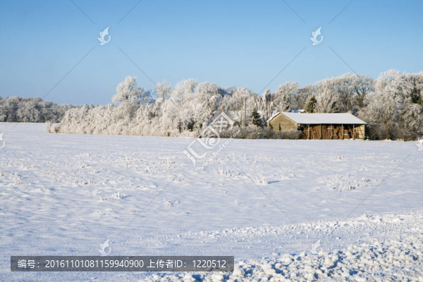 谷倉(cāng)在雪地里有小森林在后面