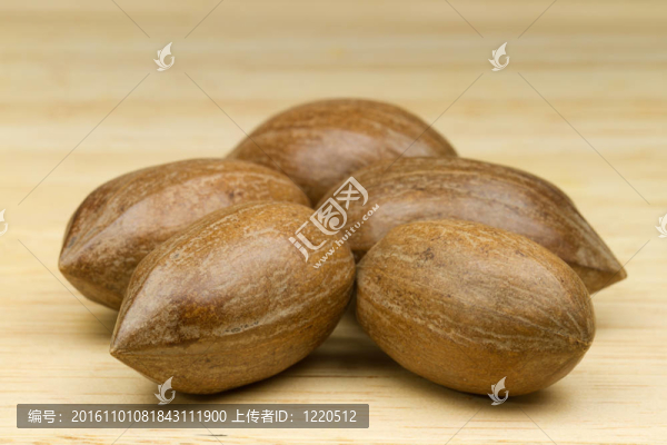 用米色背景山核桃
