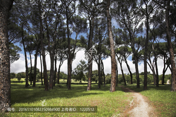 漫步在壯麗的公園里
