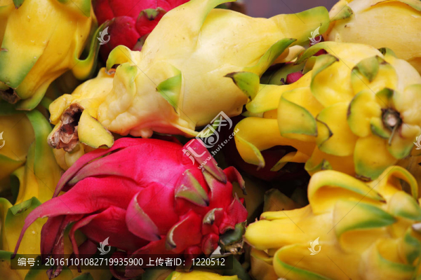 風(fēng)景如畫的度假