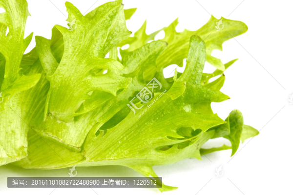 鮮葉沙拉分離