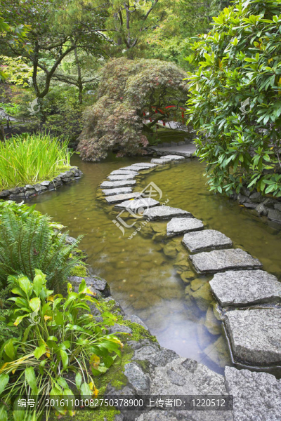 通過一個(gè)池塘小徑。