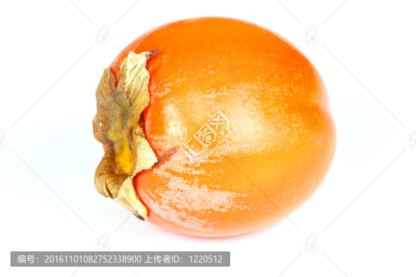 白背景的單柿子
