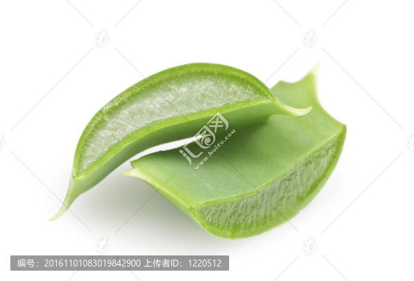 蘆薈