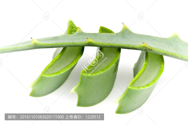 蘆薈