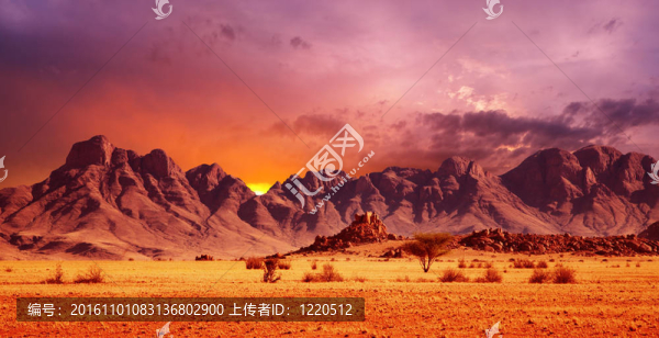 納米布沙漠