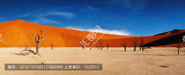 納米布沙漠；索蘇維來；納米比亞