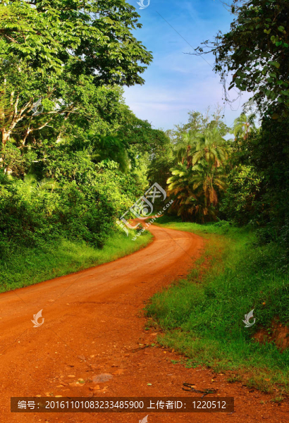 非洲的道路