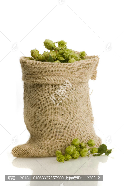 白色的金色花