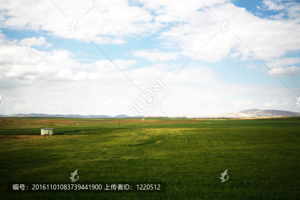 自然背景