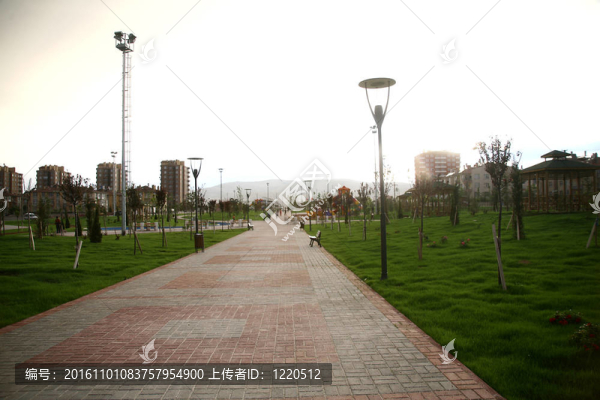 野餐的地方