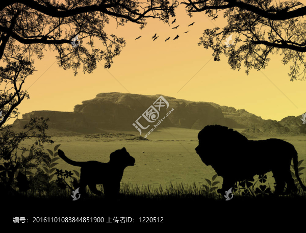 美麗的日落的獅子