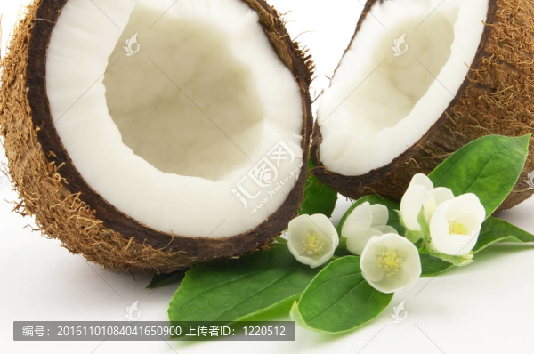 可可花